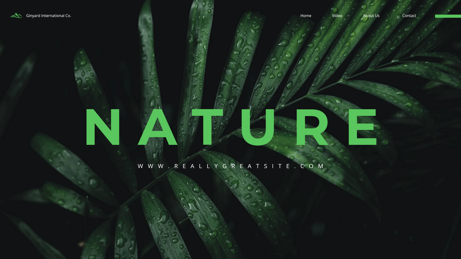 Nudora — Shape Your Power